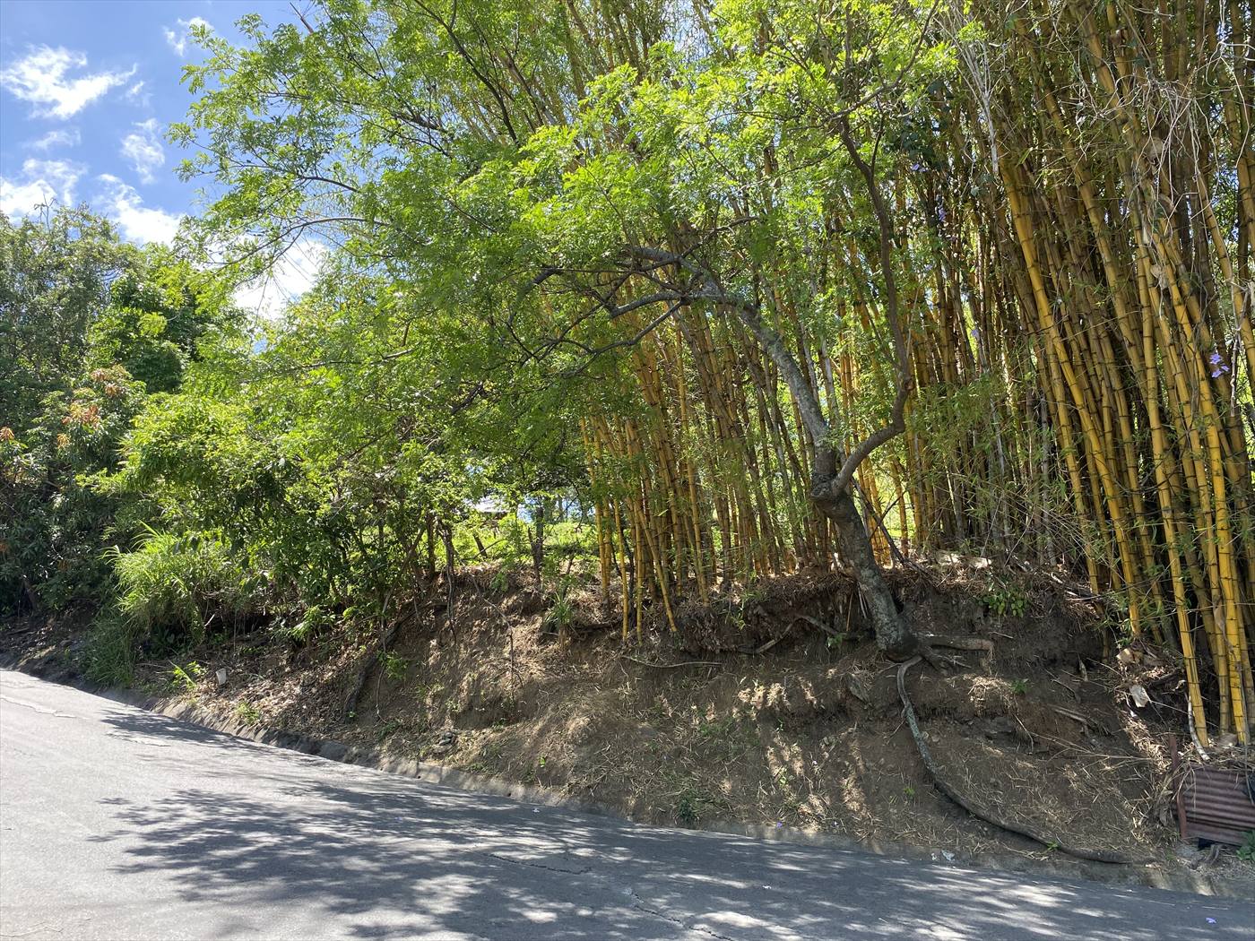 Quiet street — secondary access