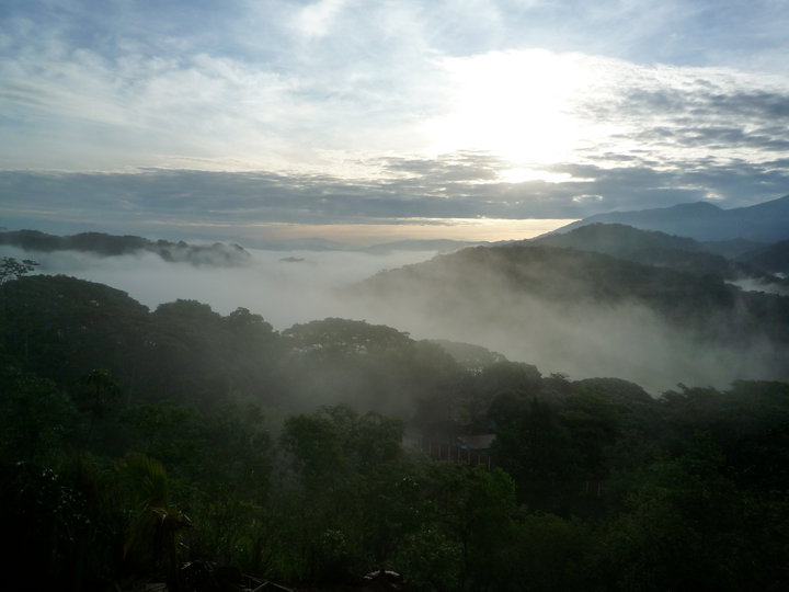 Turrubares misty valley at sunrise